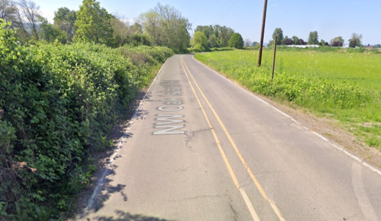 Multnomah County Sheriff's Office Probes Fatal Single-Vehicle Crash on Sauvie Island