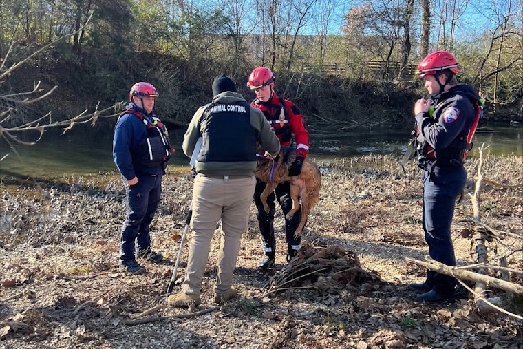 Murfreesboro Fire Rescue Team Heroically Saves Dog from West Fork Stones River