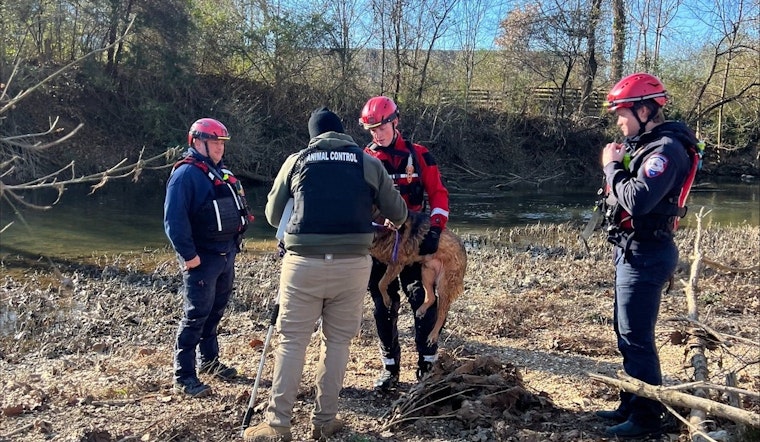 Murfreesboro Fire Rescue Team Heroically Saves Dog from West Fork Stones River