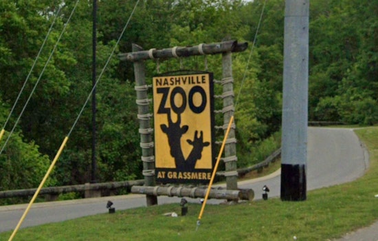 Nashville Mounted Police and Zoo Partner for Toy Drive, Offer Free Zoo Admission as Thanks