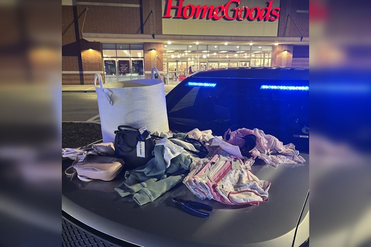 Nashville Woman Charged with Multiple Offenses Following Shoplifting Incident in Mt. Juliet