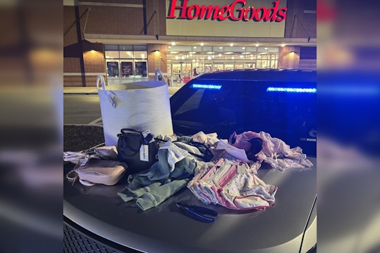 Nashville Woman Charged with Multiple Offenses Following Shoplifting Incident in Mt. Juliet