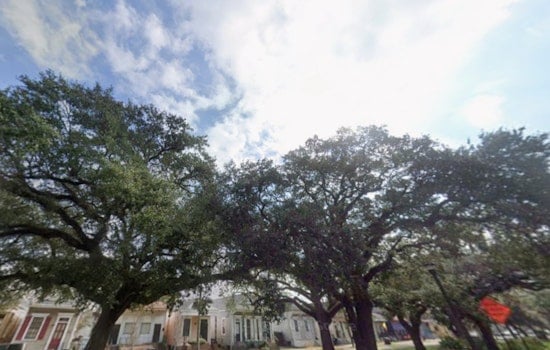 New Orleans Graced with Crisp Sunlit Days Ahead of Yuletide Celebrations