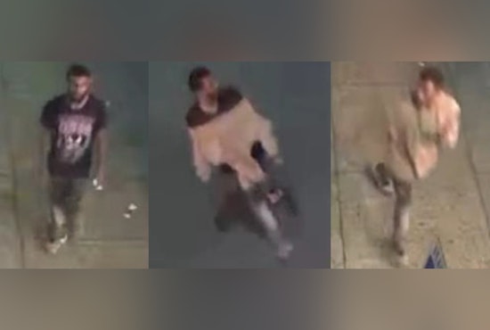 New Orleans Police Seek Public's Help in Identifying Suspect in Vehicle Burglary on Decatur Street