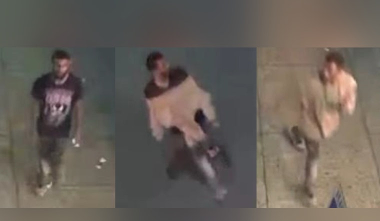 New Orleans Police Seek Public's Help in Identifying Suspect in Vehicle Burglary on Decatur Street