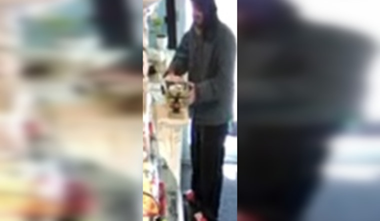 New Orleans Police Seek Public's Help to Identify Tattooed Suspect in Canal Street Cash Theft