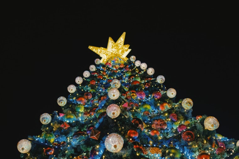 New York City Christmas Tree Sellers Slash Prices Amid Modest Sales Hike and Fierce Competition