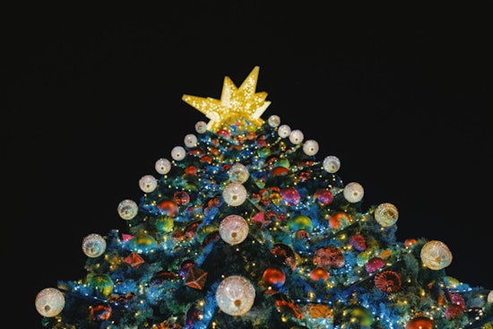 New York City Christmas Tree Sellers Slash Prices Amid Modest Sales Hike and Fierce Competition