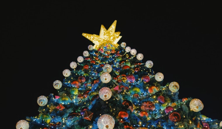 New York City Christmas Tree Sellers Slash Prices Amid Modest Sales Hike and Fierce Competition