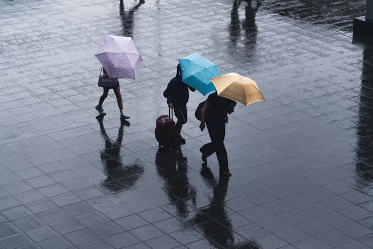 New Yorkers Brace for Rainy Spell Across All Boroughs, Gusty Winds to Bring Evening Chill