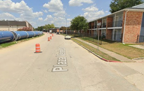 North Houston Balcony Horror, Man Accused Of Hurling Puppy To Its Death