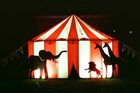 North Side Rep Moves To Kick Lions, Tigers And Bears Out Of Illinois Circuses