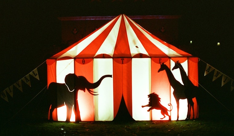 North Side Rep Moves To Kick Lions, Tigers And Bears Out Of Illinois Circuses