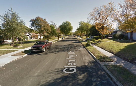 Northwest Side Chaos As Cop Shoots Dog After Cat Mauling