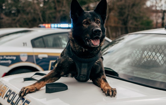 NRG Park Squatter Accused Of Choking HPD K-9 Unconscious