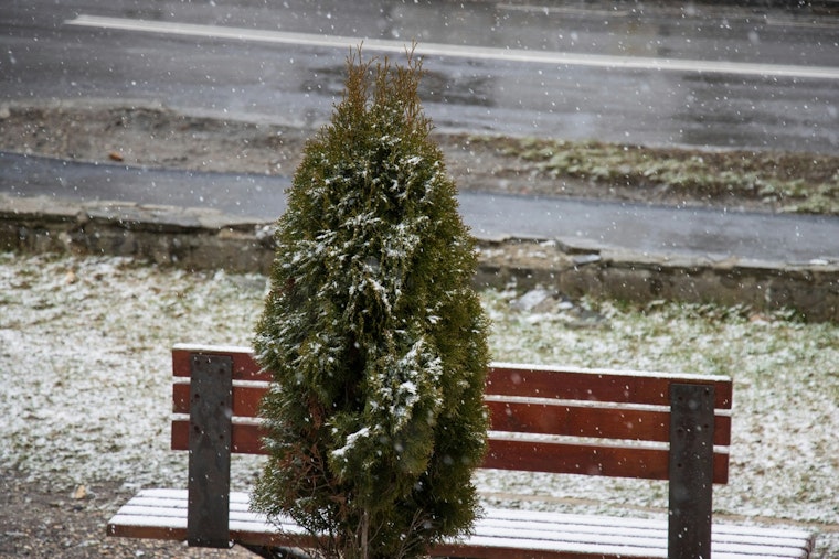 NYC Braces for Cool Temps and Mixed Precipitation as No Major Weather Threats Are Expected for the Week Ahead