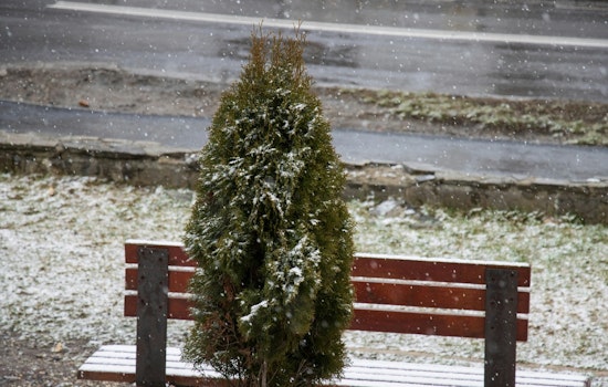 NYC Braces for Cool Temps and Mixed Precipitation as No Major Weather Threats Are Expected for the Week Ahead