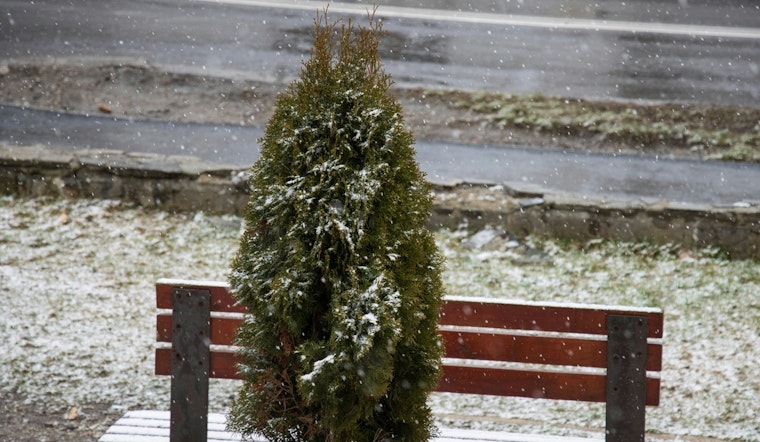 NYC Braces for Cool Temps and Mixed Precipitation as No Major Weather Threats Are Expected for the Week Ahead
