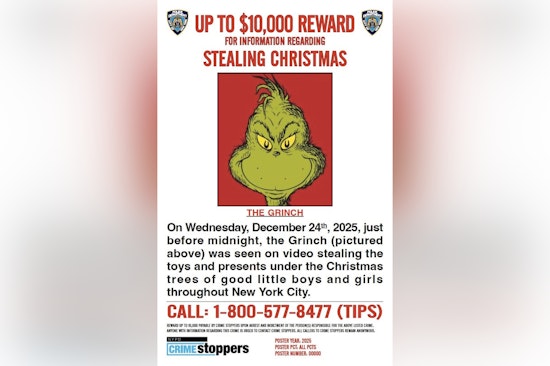 NYPD Offers $10,000 Reward for Information on Suspect Dubbed 'The Grinch' After Attempted Thefts on Christmas Eve