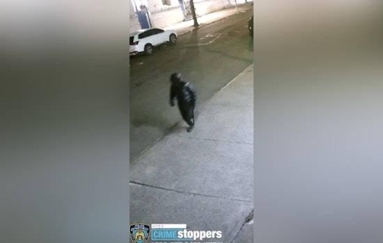 NYPD Searches for Suspect in Unprovoked Upper West Side Baseball Bat Assault