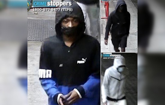 NYPD Seeks Public's Help in East New York Shooting Investigation