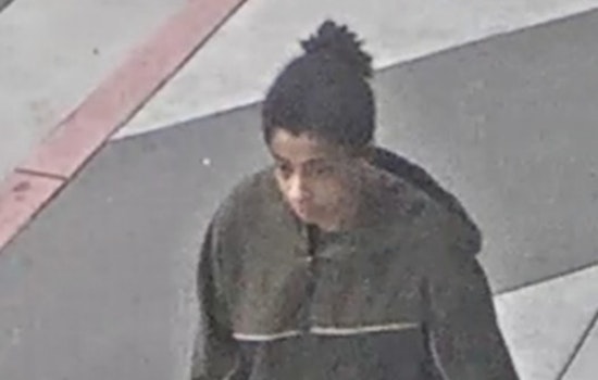Oakland Police Seek Public's Aid to Identify Suspect in Violent Carjacking and Assault on Elderly Victim