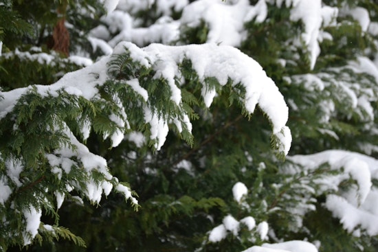 Oklahoma City Advised to Brace for Morning Snow and Sleet, NWS Issues Winter Weather Advisory