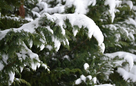 Oklahoma City Advised to Brace for Morning Snow and Sleet, NWS Issues Winter Weather Advisory