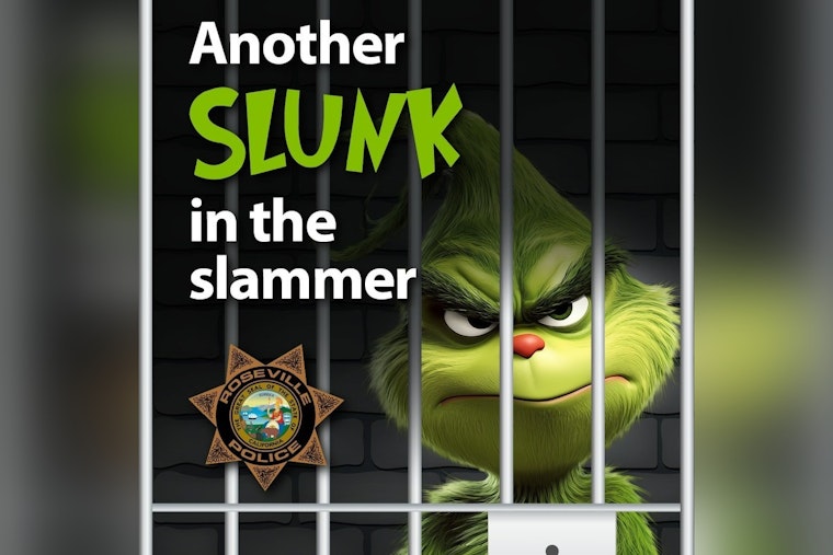 Operation Grinch Nabs 82 Suspects as Roseville Cops Bag $14K in Loot