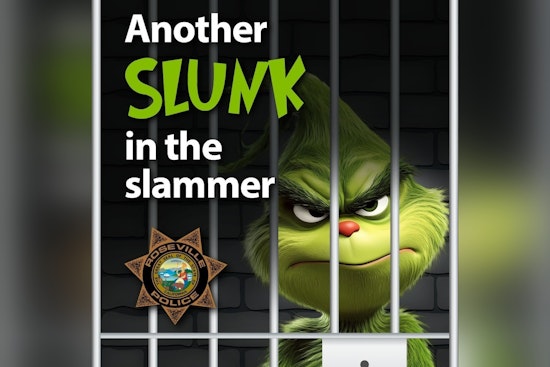 Operation Grinch Nabs 82 Suspects as Roseville Cops Bag $14K in Loot
