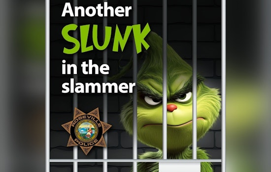Operation Grinch Nabs 82 Suspects as Roseville Cops Bag $14K in Loot
