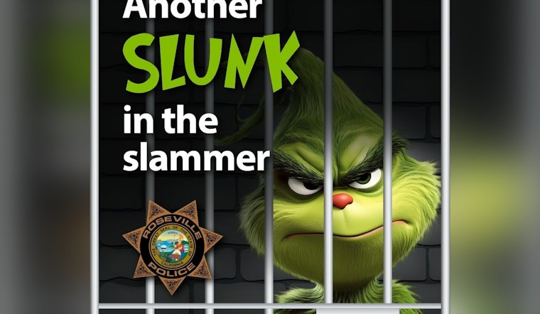 Operation Grinch Nabs 82 Suspects as Roseville Cops Bag $14K in Loot