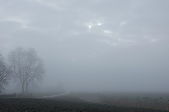 Orlando Hit with Dense Fog Advisory and Rip Current Warnings as Cold Front Approaches