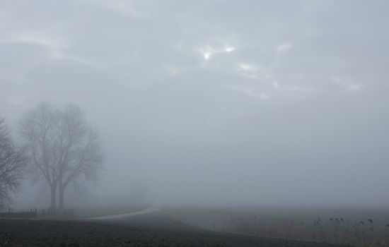 Orlando Hit with Dense Fog Advisory and Rip Current Warnings as Cold Front Approaches