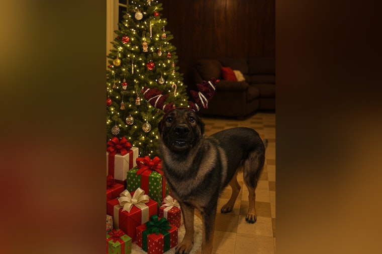 Ozaukee County's K9 Remo Champions 20th Annual Kapco Kids2Kids Toy Drive Ahead of December 11 Deadline