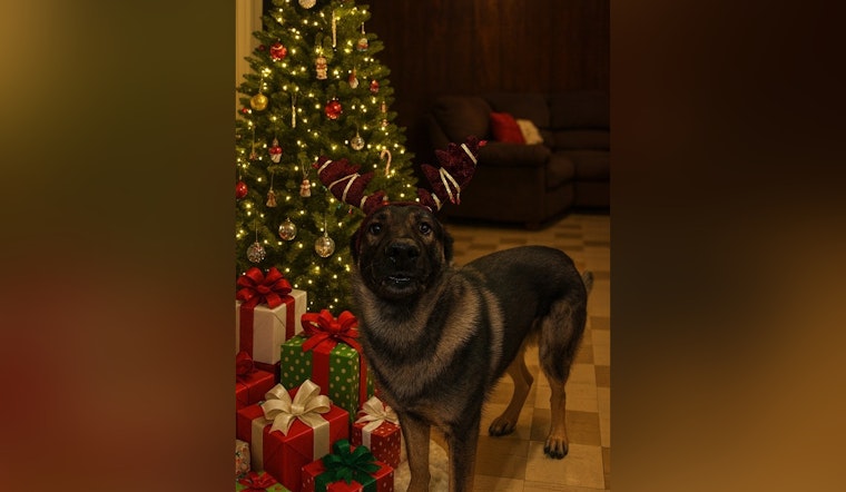 Ozaukee County's K9 Remo Champions 20th Annual Kapco Kids2Kids Toy Drive Ahead of December 11 Deadline