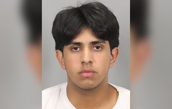 Palo Alto Road Rage Incident: Suspect Arrested for Allegedly Firing BB Gun, Shattering Car Window