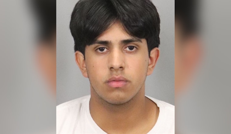 Palo Alto Road Rage Incident: Suspect Arrested for Allegedly Firing BB Gun, Shattering Car Window