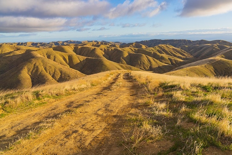 Panoche Hills Blaze Rattles Quiet San Benito Backcountry