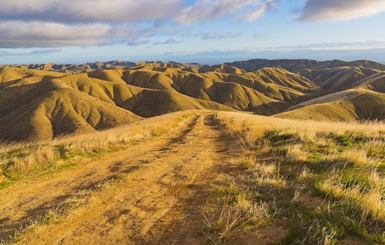 Panoche Hills Blaze Rattles Quiet San Benito Backcountry