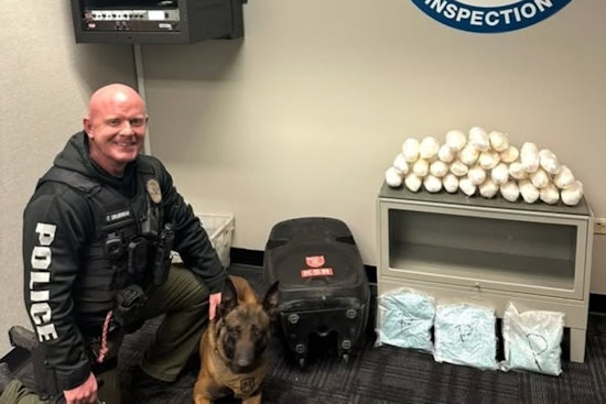 Parker Police Dept and Canine Officers Intercept Major Drug Shipment in Colorado