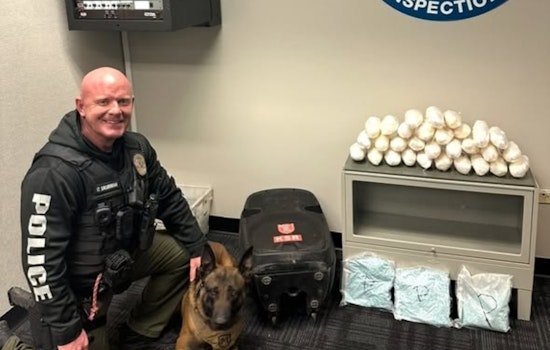 Parker Police Dept and Canine Officers Intercept Major Drug Shipment in Colorado