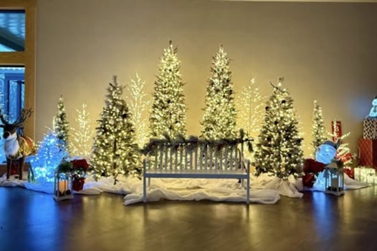 Parma Embraces Christmas Spirit with Festive Decorations and Warm Wishes Despite Closed Offices