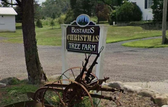 Pennsylvania's Trees for Troops Campaign Brings Holiday Cheer to Military Families