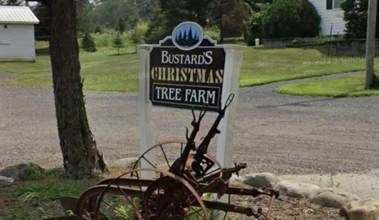 Pennsylvania's Trees for Troops Campaign Brings Holiday Cheer to Military Families