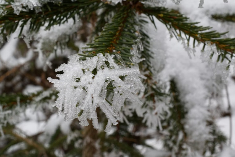 Philadelphia Braces for Freezing Temps Before Warmer Weather Arrives Later in the Week