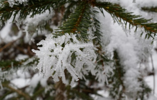 Philadelphia Braces for Freezing Temps Before Warmer Weather Arrives Later in the Week