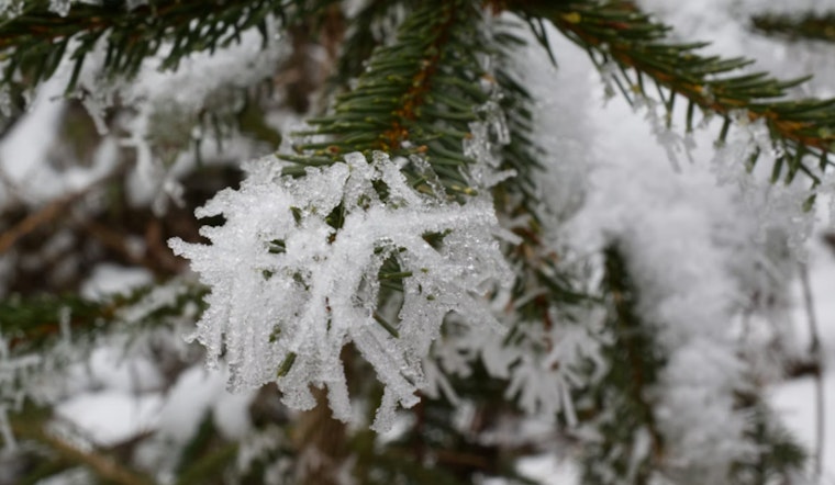 Philadelphia Braces for Freezing Temps Before Warmer Weather Arrives Later in the Week