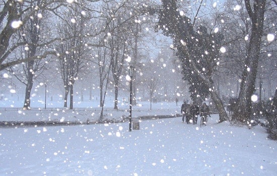 Philadelphia Braces for Snowstorm as NWS Issues Winter Warning With Up to 7 Inches Expected