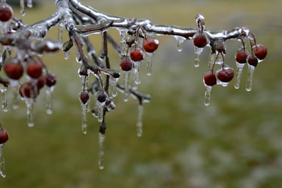 Philadelphia Grapples with Icy Conditions as Winter Weather Advisory Extends This Morning